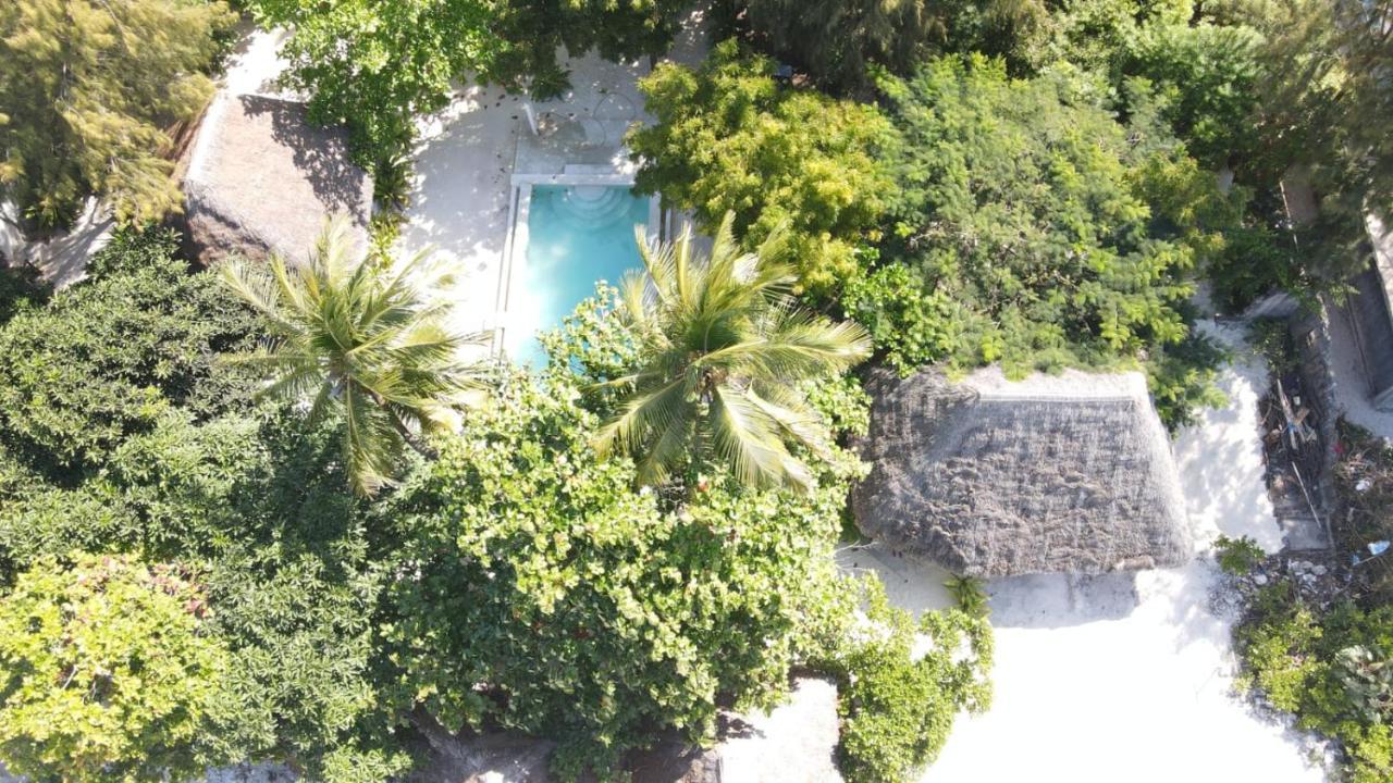 Garden Beach Bungalows Jambiani Jambiani  Esterno foto