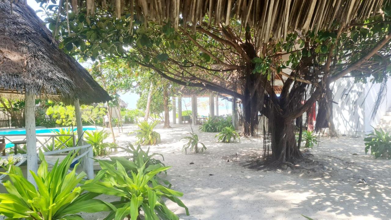 Garden Beach Bungalows Jambiani Jambiani  Esterno foto